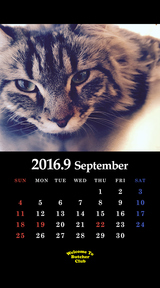 ９月鬼束カレンダー