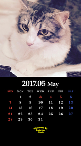 ５月鬼束カレンダー