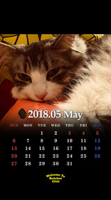 5月鬼束カレンダー 2